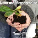 Profilbild von numht